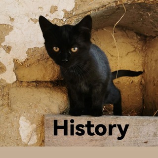Telegram profile photo for History
