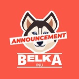 Telegram profile photo for Belka Inu announcement