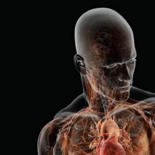 Telegram profile photo for Anatomy Histology and Embryology