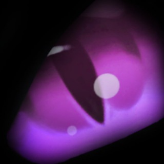 Telegram profile photo for D_e_l_y