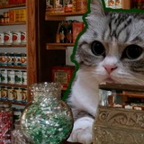 Telegram profile photo for Komaru Shop - переходник