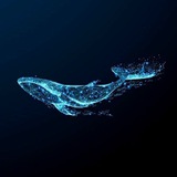 Telegram profile photo for 🐋 Vip Airdrop 🐋