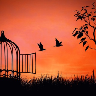 Telegram group profile photo for Norfolk ‘AWAKE’ Friends