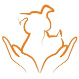 Telegram profile photo for Жить. Спасать. Любить.