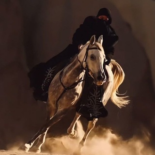 Telegram profile photo for سناء محی الدین