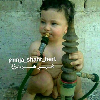 Telegram profile photo for شــــــہــــڕ هــــڕت🍃
