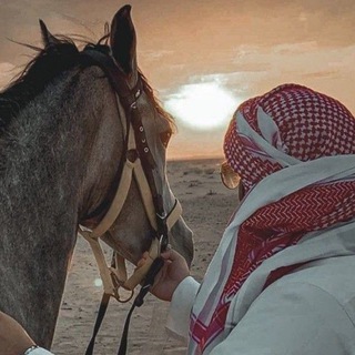Telegram profile photo for _ 𝙨 𝙛 𝙮 𝙖 𝙣