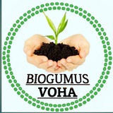 Telegram profile photo for BIOGUMUS VOHA | Kaliforniya qizil chuvalchangi biznesi