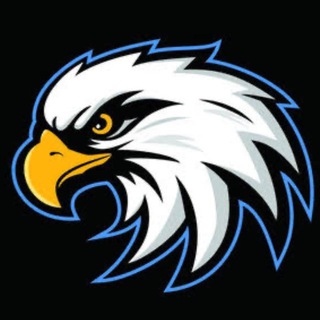 Telegram profile photo for صفريات النسور 100X🦅
