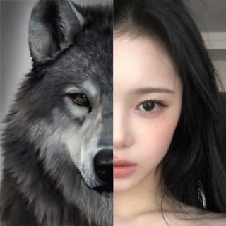 Telegram profile photo for jungian