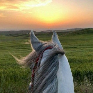 Telegram profile photo for سَــجَايَا الأَثَــــر