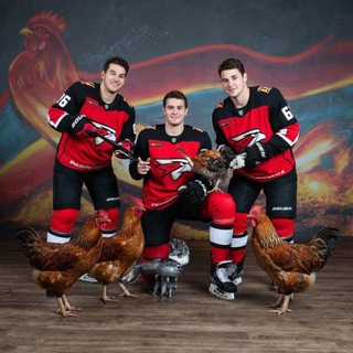 Telegram profile photo for hockeyzz