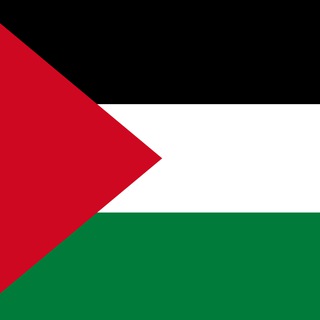 Telegram profile photo for ⚠️ Sit-in for Palestine NL 🍉