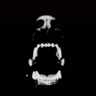 Telegram profile photo for Thewantonsofficial