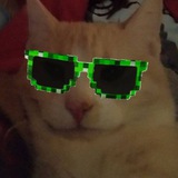 Telegram profile photo for @echo...