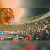 Telegram profile photo for طرفداری 1338