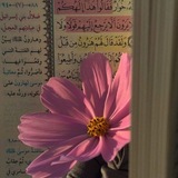 Telegram profile photo for إلـى اللـه نـعـود .