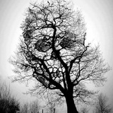 Telegram profile photo for Rock and dark life