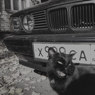 Telegram profile photo for Rezwice Неуязвимов SerWice'ович