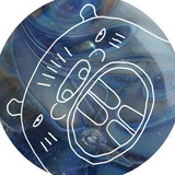 Telegram profile photo for Кричащий сурок!