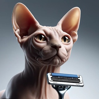 Telegram profile photo for $GilletteCat - Portal