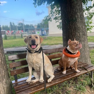 Telegram profile photo for Эльза в кадре