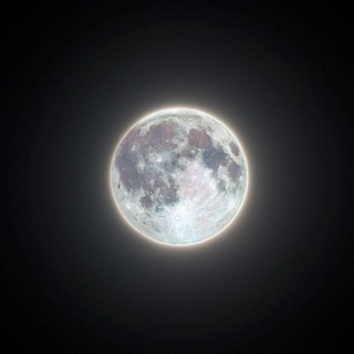 Telegram profile photo for ๐ฏ๐๐๐๐๐ | ๐ณ๐๐๐๐๐ ๐ต๐๐๐๐