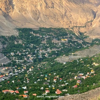 Telegram profile photo for امیری نگین لاریجان