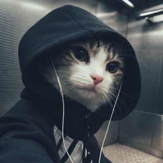 Telegram profile photo for 21