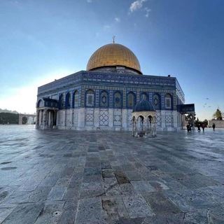 Telegram profile photo for تلاقي