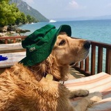 Telegram profile photo for Twoesce Portal