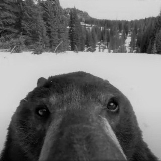 Telegram profile photo for Взаимный пиар чат❤️🔥