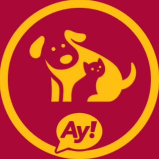 Telegram group profile photo for Ланкийский Котопес