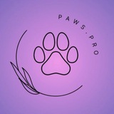 Telegram profile photo for PAWS.PRO