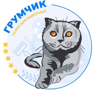 Telegram profile photo for Красивая стрижка собак и кошек Лицензированная школа Груминга Ростов-на-Дону ГрумЧик🥇Кошки, Собаки, путешествия, юмор, мнение😅
