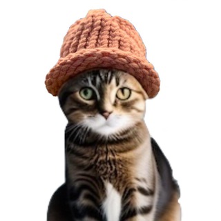 Telegram profile photo for catwifhat $CWIF on solana