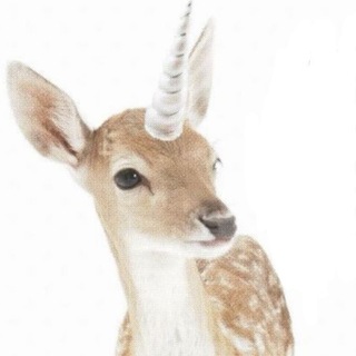 Telegram profile photo for ౨ৎ 𝑺his𝒉iko ໒꒱ིྀ