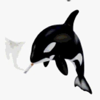 Telegram profile photo for няшечка тяночка вкусняшечка