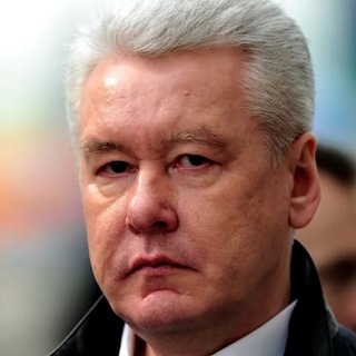 Telegram profile photo for Москва при Собянине: любовницы у власти?
