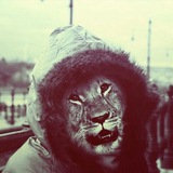 Telegram profile photo for джон45