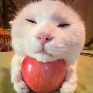 Telegram profile photo for kl7бничная мята