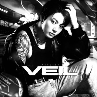 Telegram profile photo for VEIL