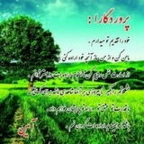 Telegram profile photo for ثبت گروههای بهبودی عشق بلاعوض👇