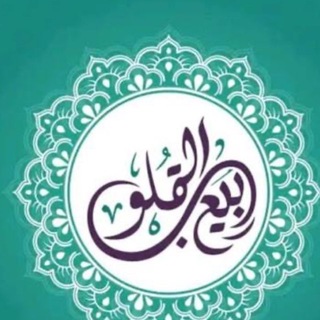 Telegram group profile photo for ربيع القلوب للمناقشات
