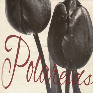 Telegram profile photo for polareids.