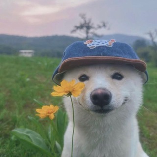 Telegram profile photo for лиля чанбиновна