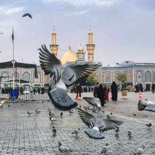 Telegram profile photo for لُؤْلُؤٌ مَكْنُونٌ.