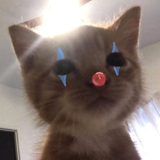 Telegram profile photo for =ТЕРПИМ=