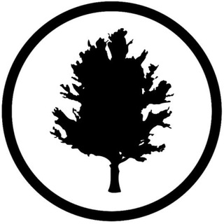 Telegram group profile photo for Sugar Tree Legion - Chat