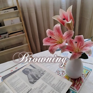 Telegram profile photo for ₊⊹ browning 𝜗𝜚
